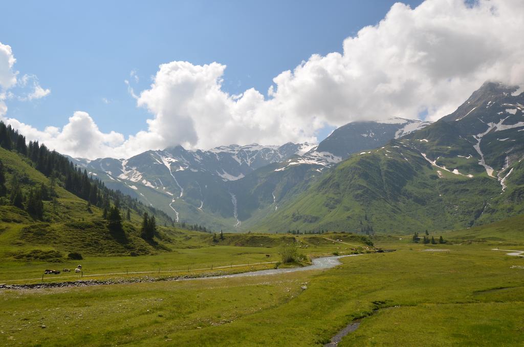 Winklers Gipfelblick Chalet, Inklusive Alpentherme - Ganzjaehrig, Gasteiner Bergbahn - Nur Sommer Bad Hofgastein Exterior foto